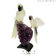 ROCK CRYSTAL TWIN MACAW