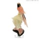 ROSE QUARTS MACAW