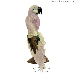 AMETHYST MACAW