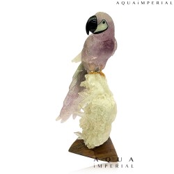 AMETHYST MACAW