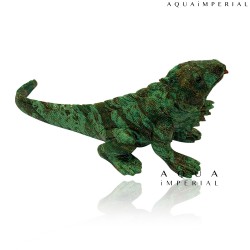 SERPENTINE IGUANA