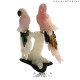 ROSE QUARTZ TWIN MACAW BIRD ON QUARTZ BASE