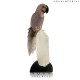 AMETHYST MACAW BIRD ON ROCK CRSTAL BASE 