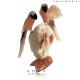 Rose Quartz twin Macaw decorative birds 