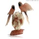 Rose Quartz twin Macaw decorative birds 
