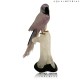 AMETHYTS MACAW ON CRYSTAL BASE