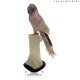AMETHYTS MACAW ON CRYSTAL BASE