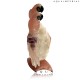 Rose Quartz twin Macaw decorative birds 