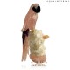 ROSE QUARTS MACAW ON CRYSTAL BASE