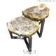PETRIFIED WOOD SOILD CENTER TABLE 