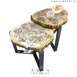 PETRIFIED WOOD SOILD CENTER TABLE 