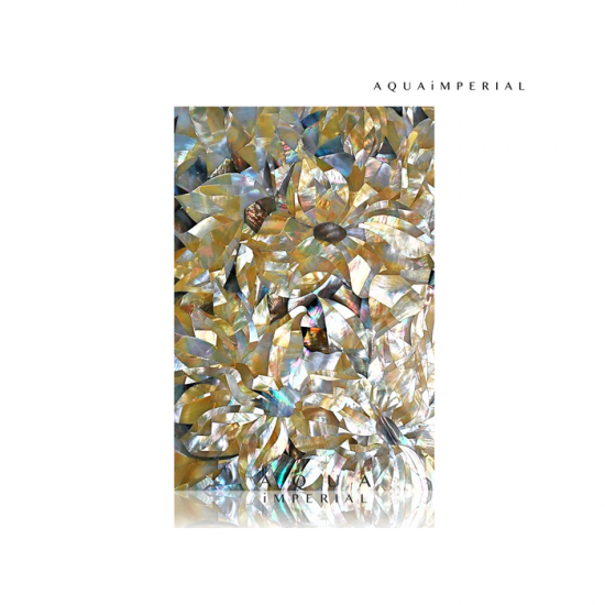 Mother Of Pearl Decorative Design Mother Of Pearl Decorative Design
