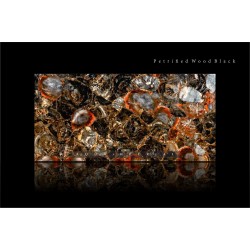 Petrified Wood Black