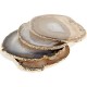 NATURAL AGATE COASTER NATURAL AGATE COASTER