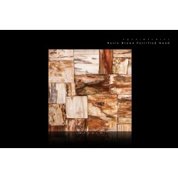 Retro Brown Petrified Wood