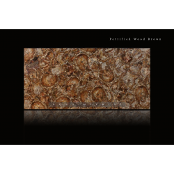 Petrified Wood Brown