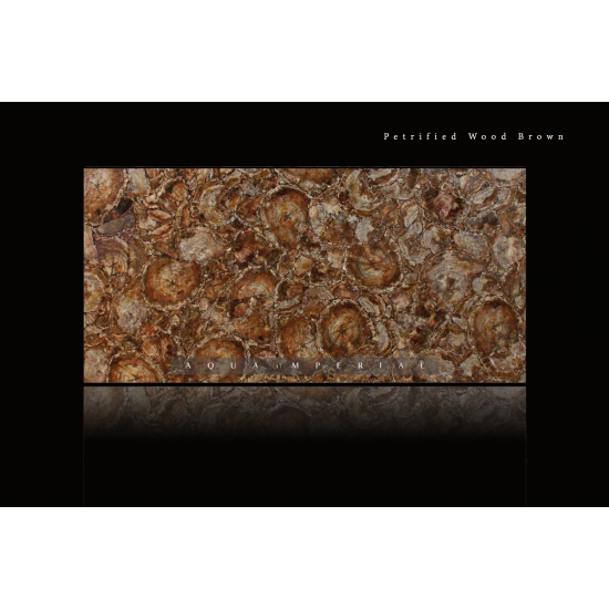 Petrified Wood Brown Petrified Wood Brown