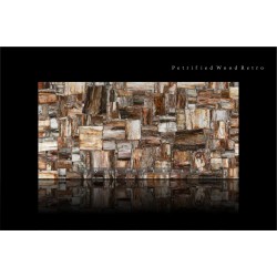 Petrified Wood Retro