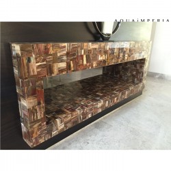 Petrified Wood Fire Place
