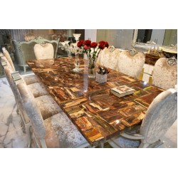 Petrified Wood Dining Top