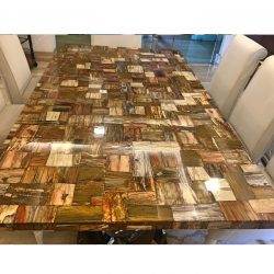 Petrified Wood Dining Top