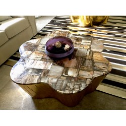 Petrified Wood Center Table
