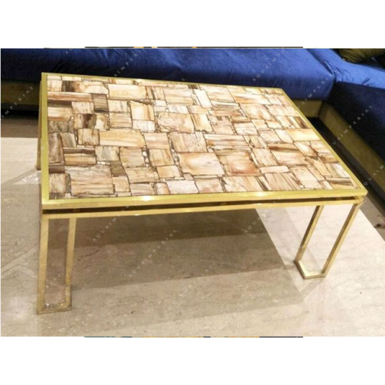 Petrified Wood Retro With Brass Base Center Table Top Petrified Wood Retro With Brass Base Center Table Top