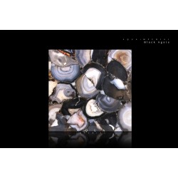 Black Agate 
