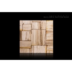Retro White Petrified Wood