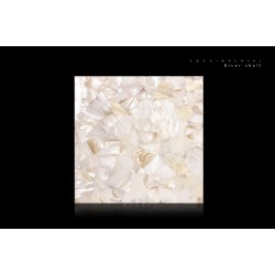 River shell